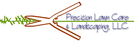 Precision Lawn Care and Landscaping